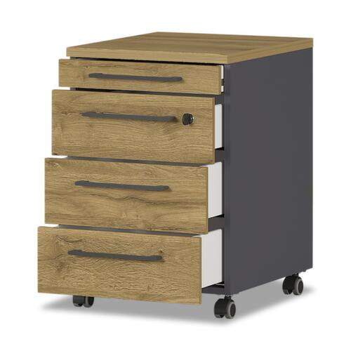 Rollcontainer GW-AGENDA