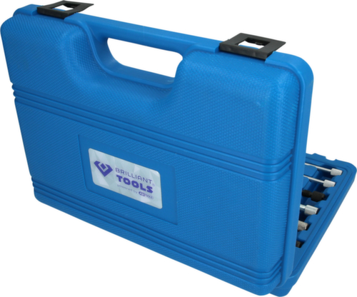 Brilliant Tools Motor-Einstellwerkzeug für Ford