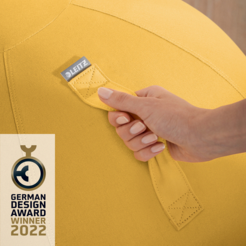 Leitz Sitzball Ergo Cosy