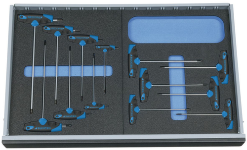 GEDORE 2005 CT2-2143 KTX Winkelschraubendreher-Satz in Check-Tool-Modul