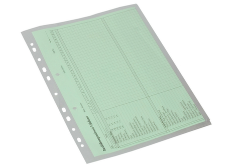 EICHNER Sichthülle für Dokumente, transparent, DIN A4