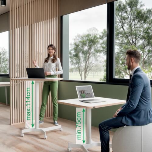 Leitz Höhenverstellbarer Schreibtisch Ergo