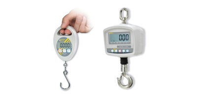 Dynamomètres et balances pour grues