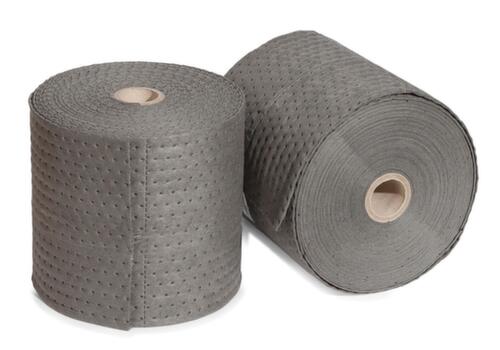 Denios Vlies-Sorbent