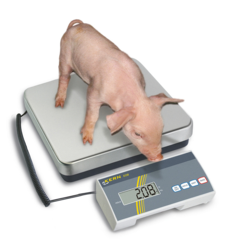 KERN Paketwaage EOB 300K100A, Wägebereich 300 kg