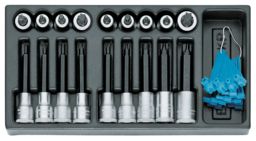 GEDORE 1500 ES-ITX 19 LKP Satz Schraubendrehereinsätze 1/2" in 1/3 ES-Modul
