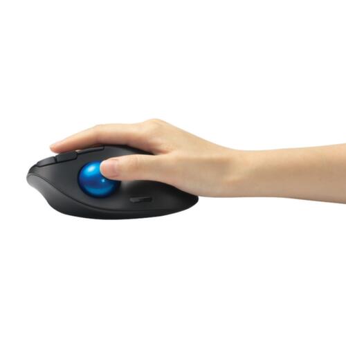 Kensington Trackball-PC-Maus ProFit