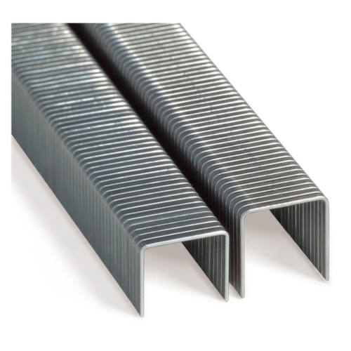 Heftklammern 8 mm für Versandrohr