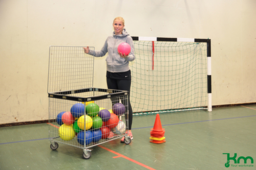 Kongamek Gitterwagen