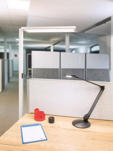 MAUL LED-Arbeitsplatz-Stehleuchte MAULsenja