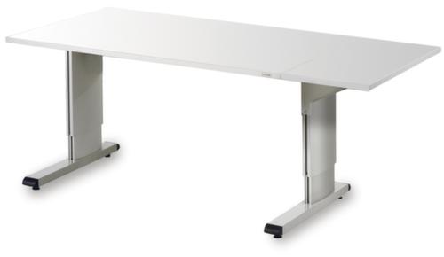 Treston Seitenverlängerung, Breite x Tiefe 400 x 800 mm, Platte RAL7035 Lichtgrau Milieu 1 L