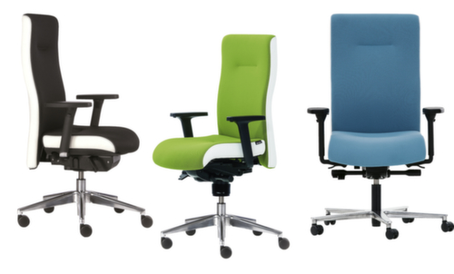 ROVO-CHAIR Bürodrehstuhl ROVO XP mit Ergo-Balance-Mechanik Standard 1 L