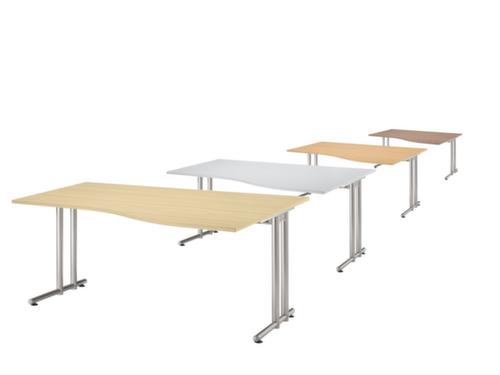 Freiform-Schreibtisch Terra Nova Standard 1 L