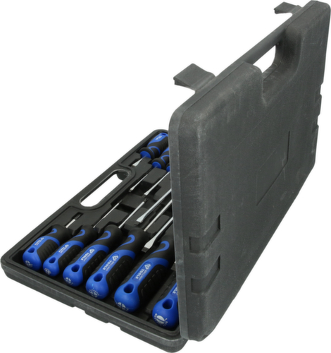 Brilliant Tools Schraubendreher-Satz Standard 5 L