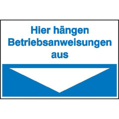 Hinweisschild SafetyMarking® aus Hart-PVC Standard 1 L