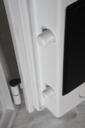 Phoenix Safe Brandschutzschrank für digitale Medien Detail 6 L