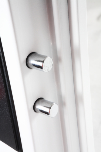 Phoenix Safe Brandschutzschrank für digitale Medien Detail 5 L