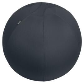 Leitz Sitzball Active, Sitz samtgrau