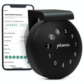 Phoenix Safe Smart Key Safe PALM