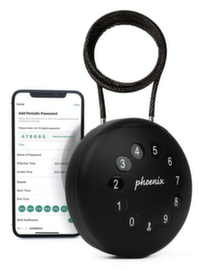 Phoenix Safe Smart Key Safe PALM