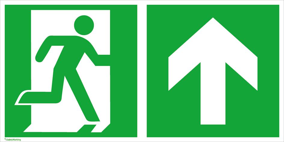 Fluchtwegschild SafetyMarking® Notausgang Standard 7 ZOOM