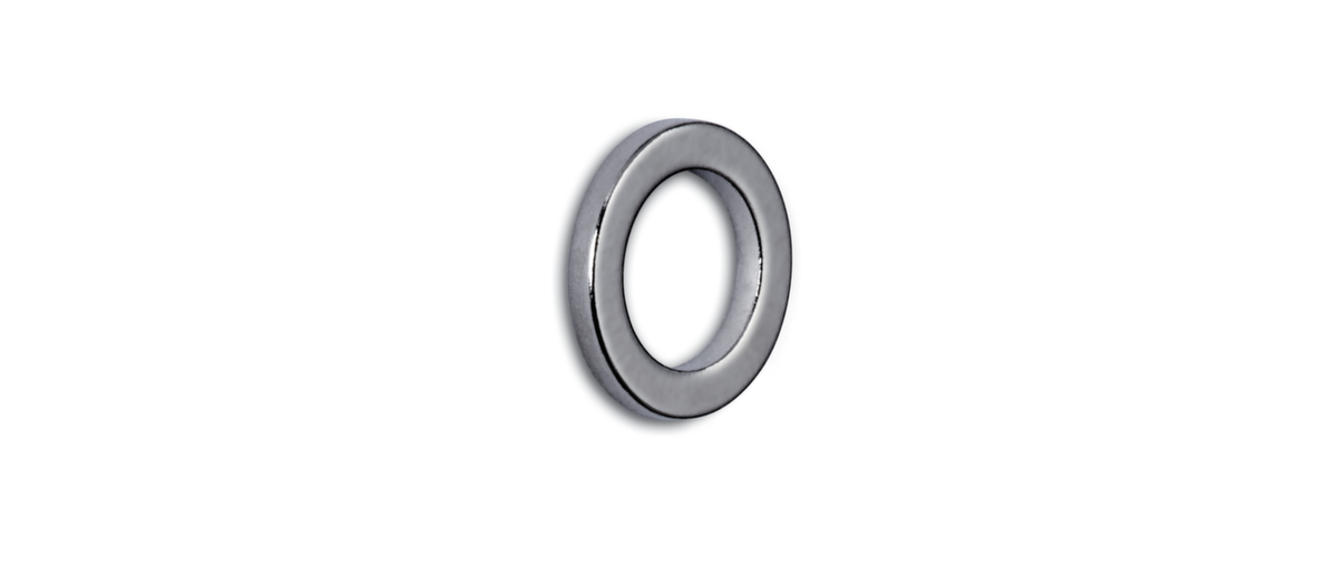 MAUL Ringmagnet, hellsilber, Ø 12 mm Standard 2 ZOOM