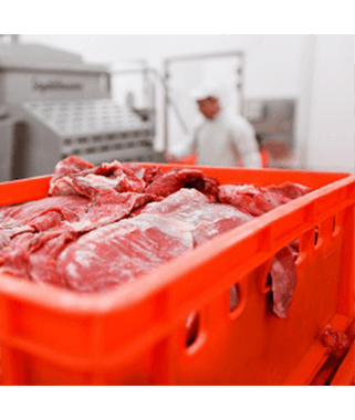 Fleischkiste aus Kunststoff für hygienischen Transport und Lagerung von Fleisch